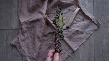 Natural wellness: Cultivating health and harmony