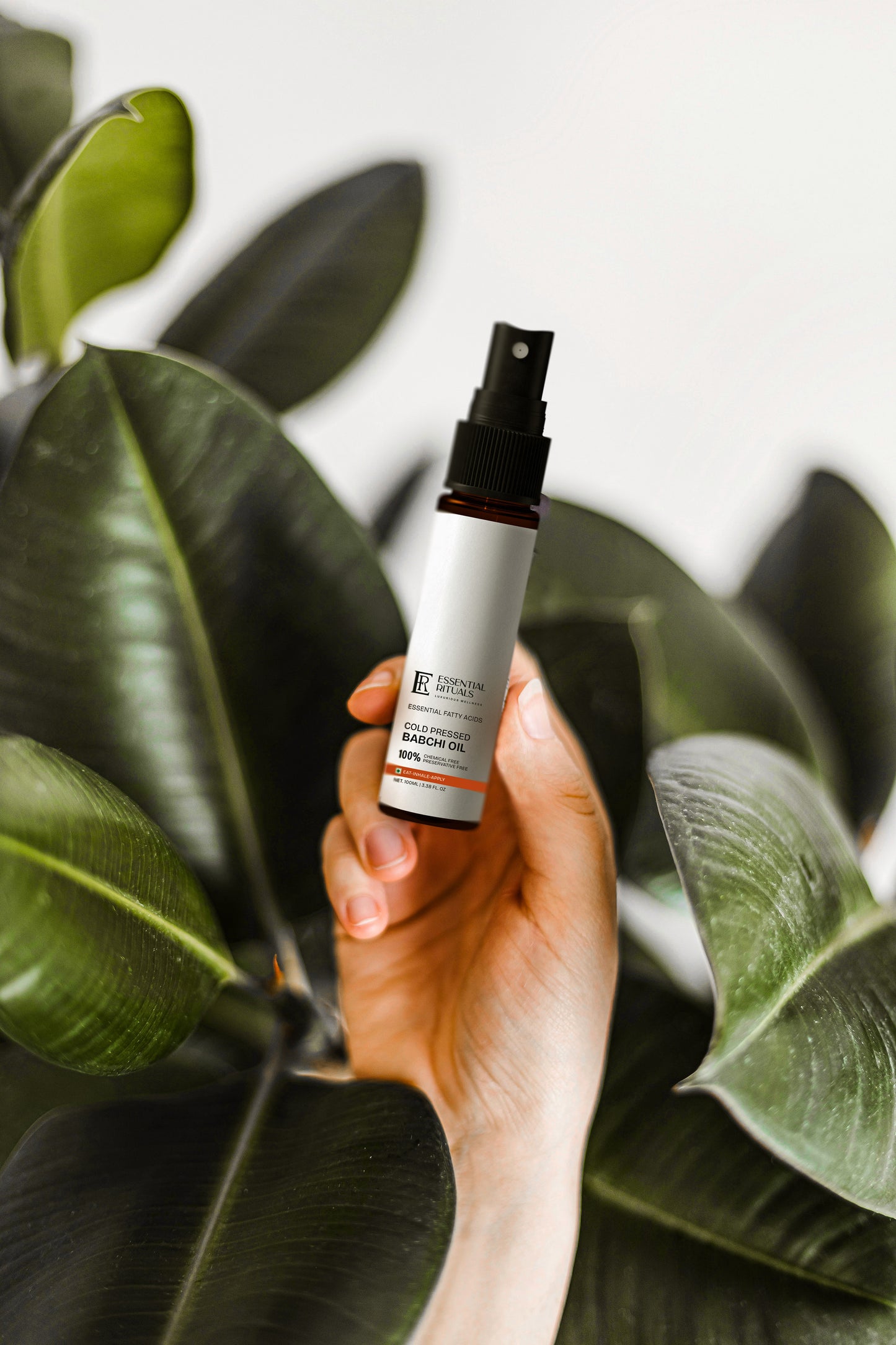 Babchi oil