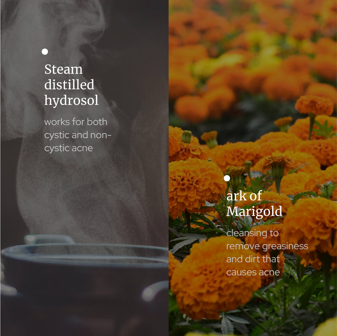 Marigold Hydrosol