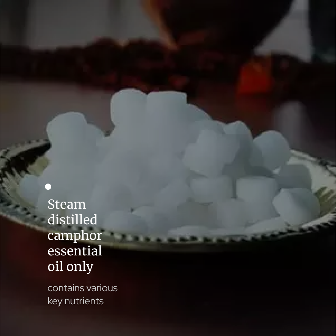 Camphor essential oil