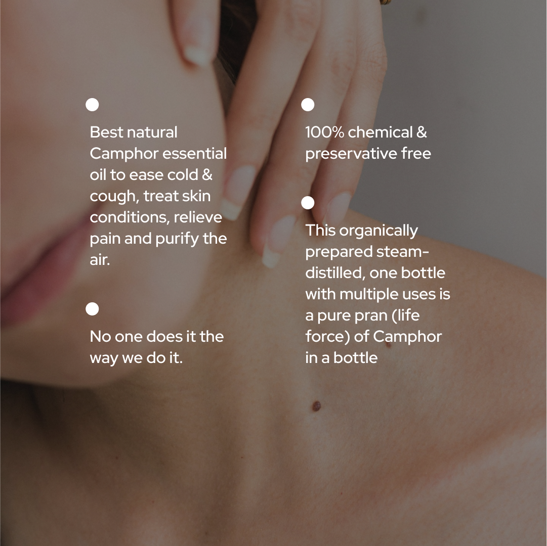 Camphor essential oil