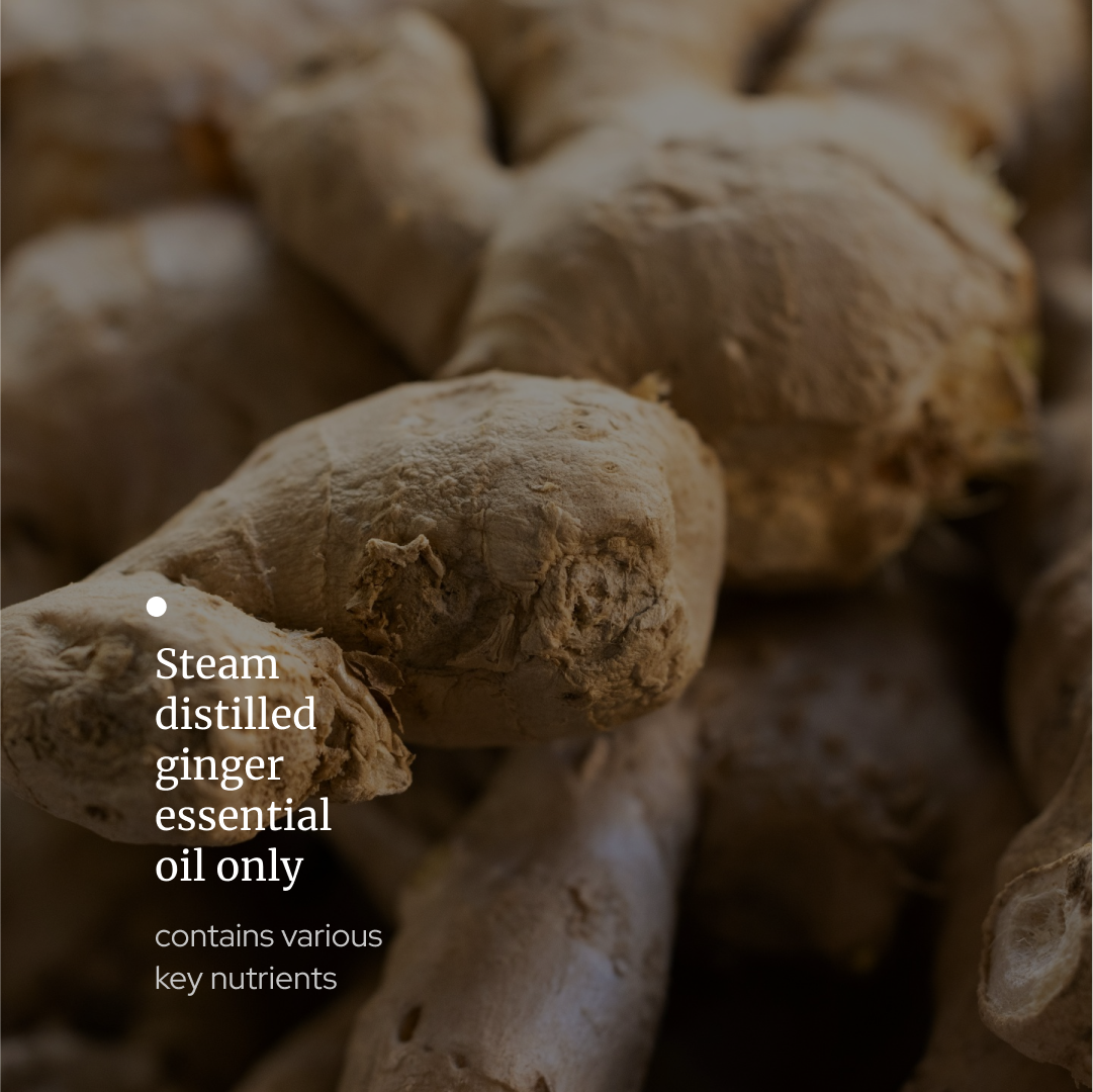 Ginger Essential oil