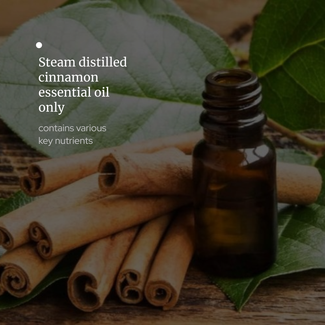 Cinnamon Essential oil