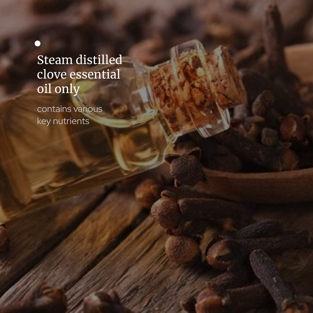 Clove Essential oil