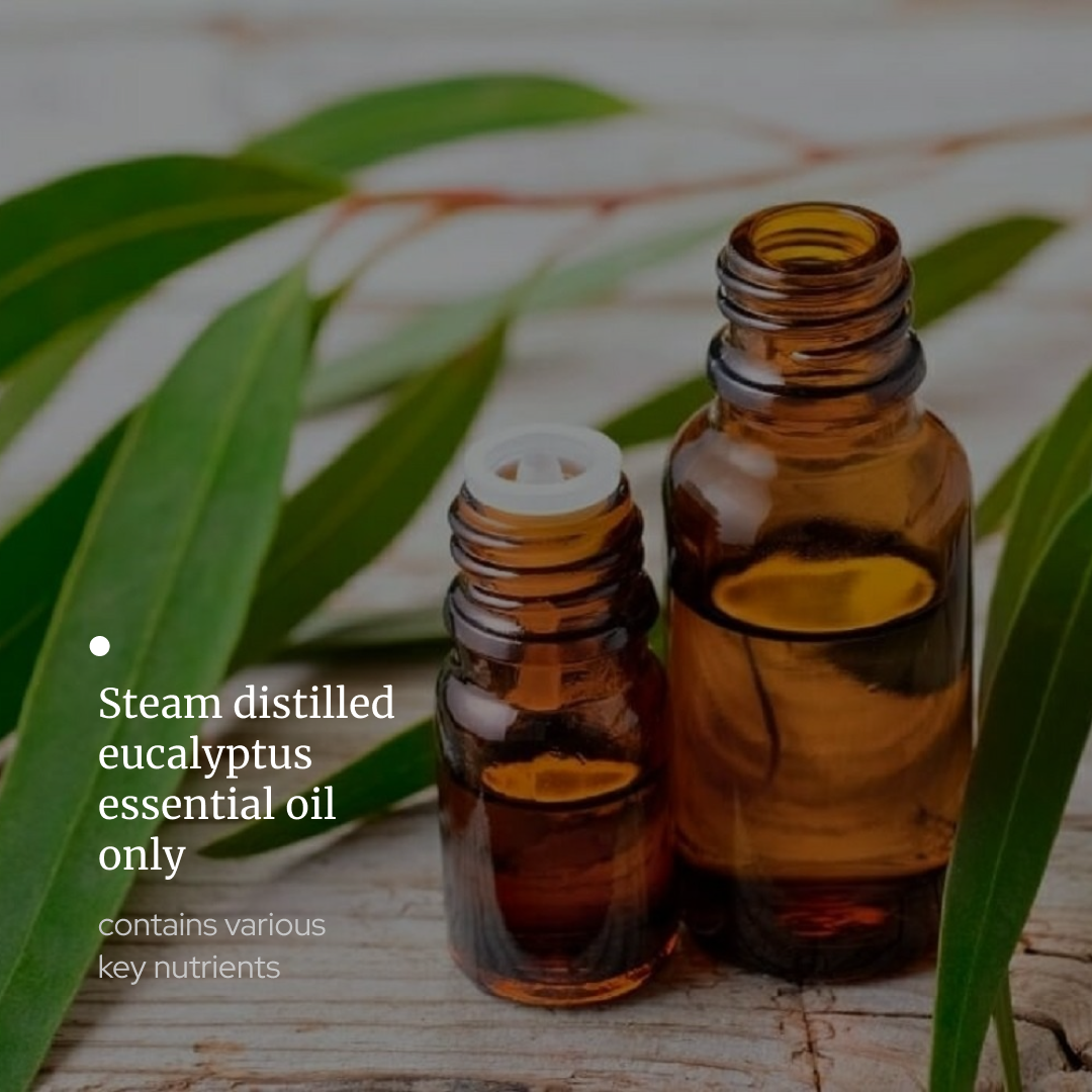 Eucalyptus Essential oil