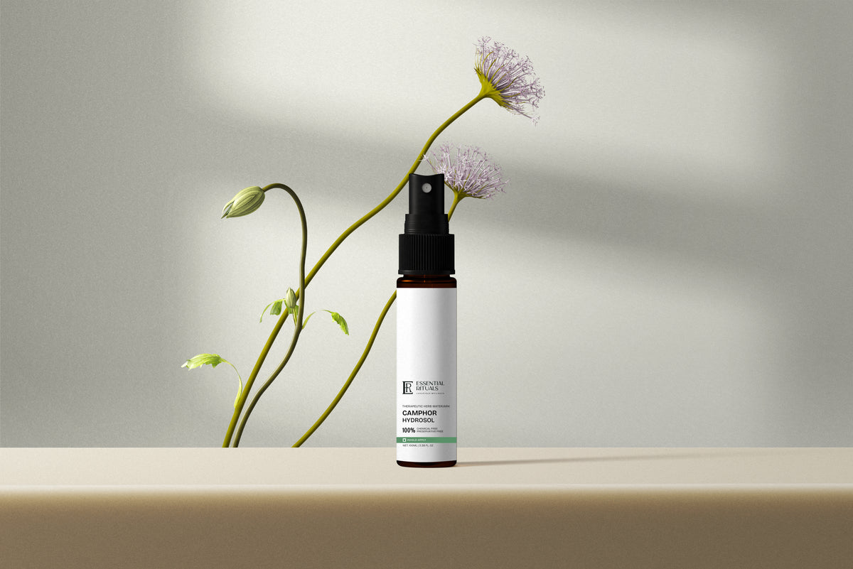 Camphor Hydrosol