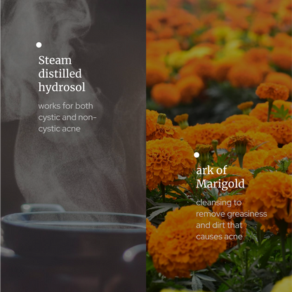 Marigold Hydrosol