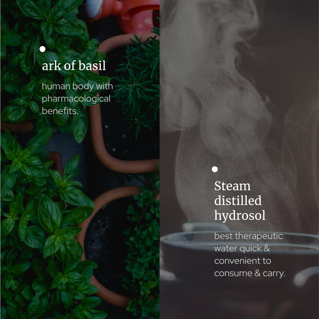 Basil Hydrosol