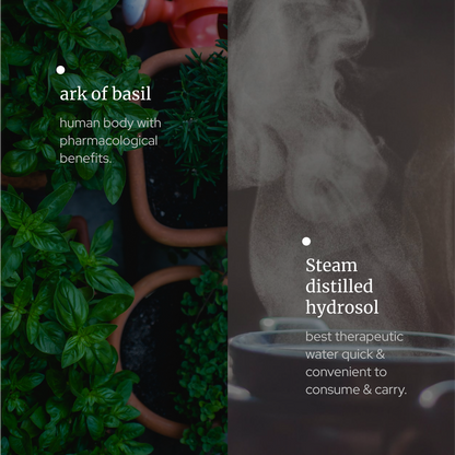 Basil Hydrosol