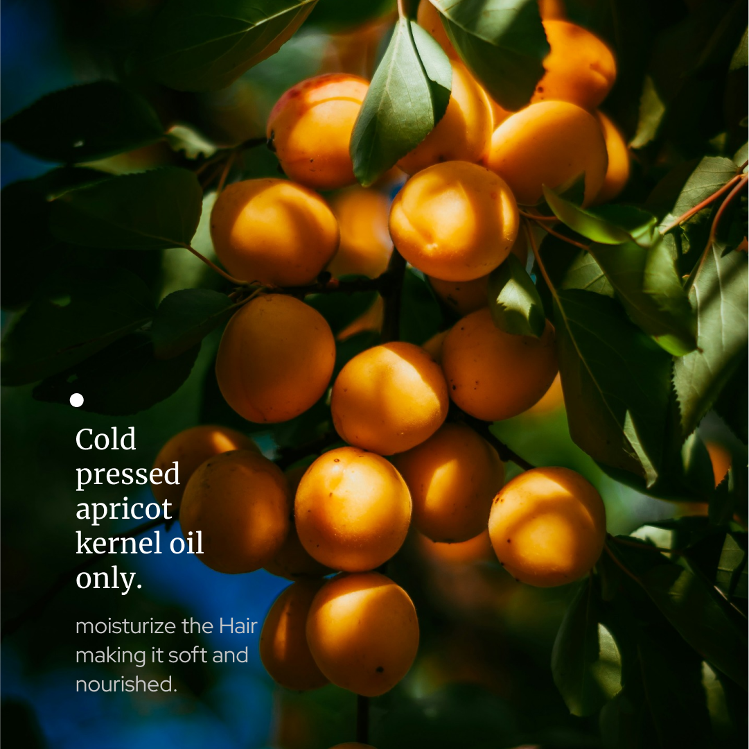 Apricot kernel Oil