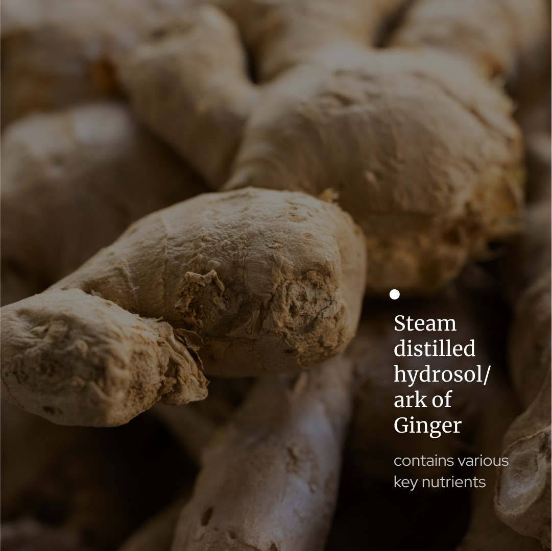 Ginger Hydrosol