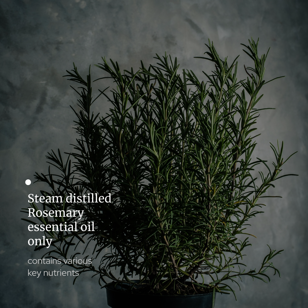 Rosemary Essential oil