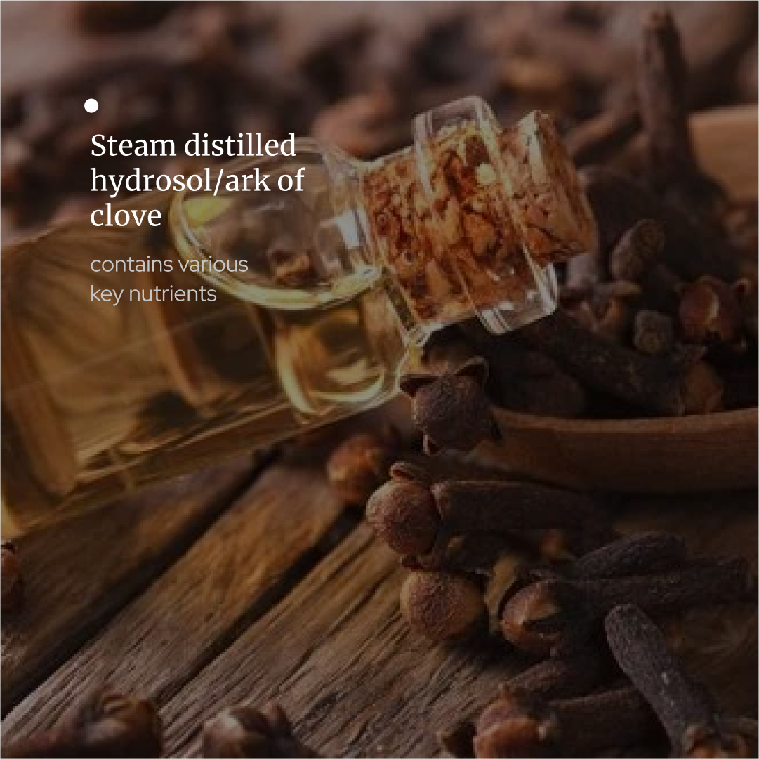 Clove Hydrosol